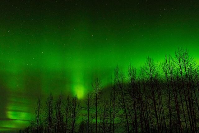 Here's a still from yesterday's timelapse. I couldn't believe how bright and beautiful the sky was. . . . .
#roadstotravel #roamtheplanet #sonyimages  #smugmug #travel #travelphotography #cnbctravel #travelbloggers #traveleroftheweek #bealpha #smugmug #photography #wwtty #lastfrontiermagazine #travelalaska #alaska #myalaskadream #iflyalaska #youneedalaska #thealaskalife #onlyinalaska #alaskamagazine #explorealaska #travelplacex #wildernessnation #alaskadaily #earth_escape #discoveralaska #optoutside